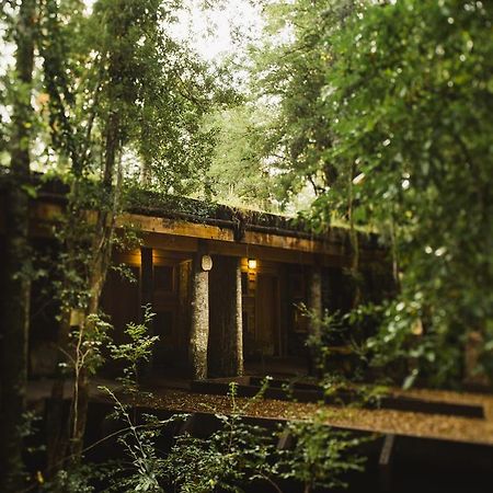 Huilo Huilo Nawelpi Lodge ปูแอร์โตฟุย ภายนอก รูปภาพ