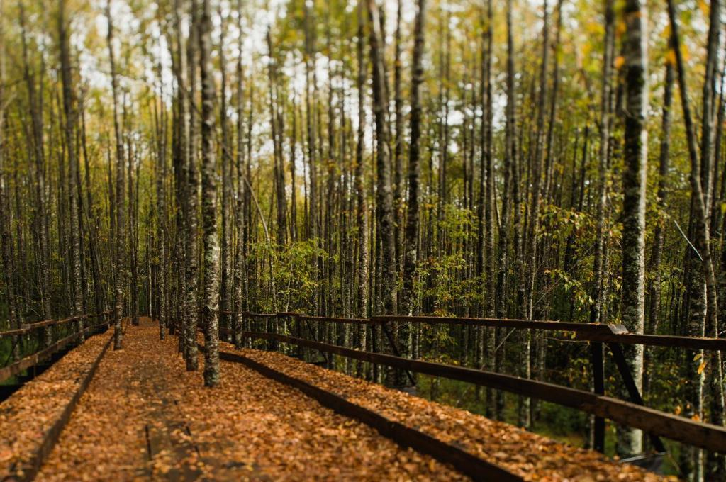 Huilo Huilo Nawelpi Lodge ปูแอร์โตฟุย ภายนอก รูปภาพ